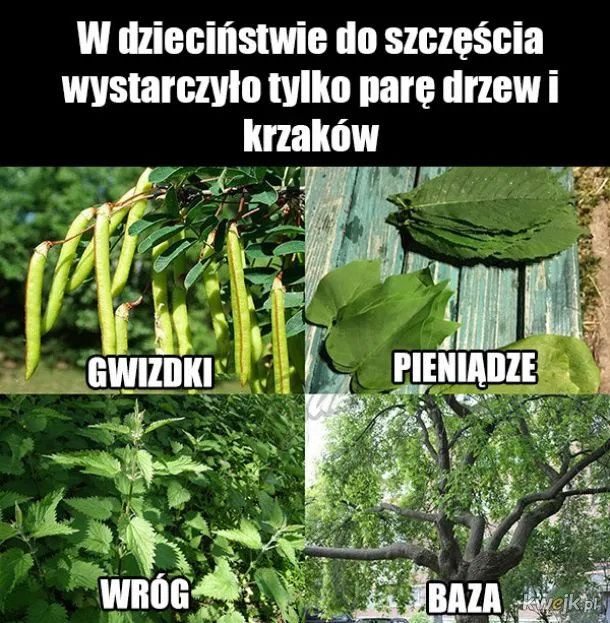 Szczęśliwe dzieciństwo