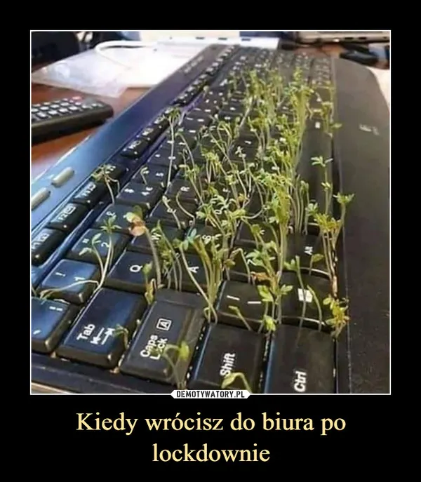 Już niedługo - powrót do biur po lockdownie