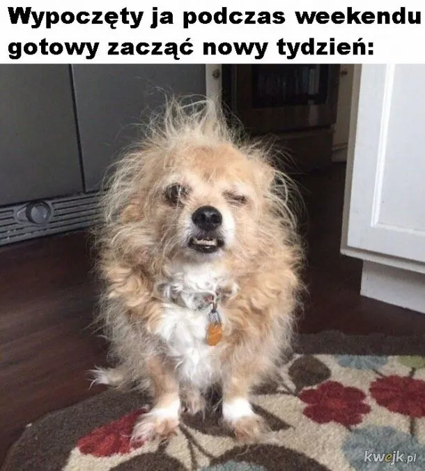 Po weekendzie