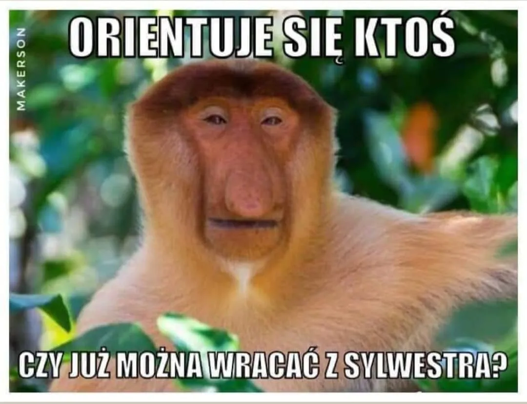 Można już wracać?