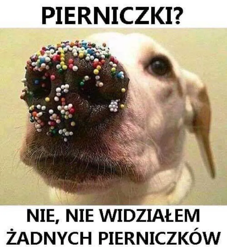 Pierniczki?
