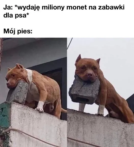Zabawki