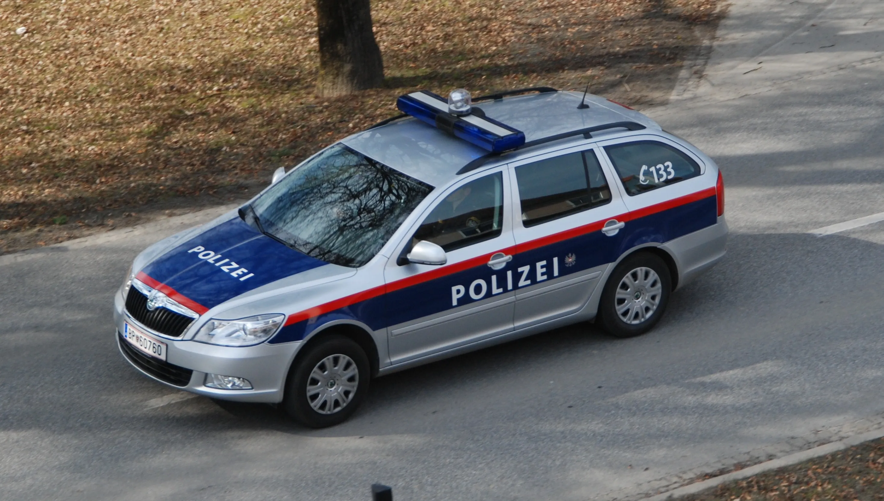 Protest przeciwko restrykcjom w Wiedniu. Doszło do starć z policjantami