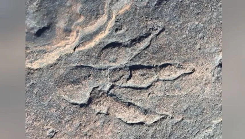 Niezwykłe odkrycie 4-latki! Na plaży znalazła ślad dinozaura sprzed 220 mln lat