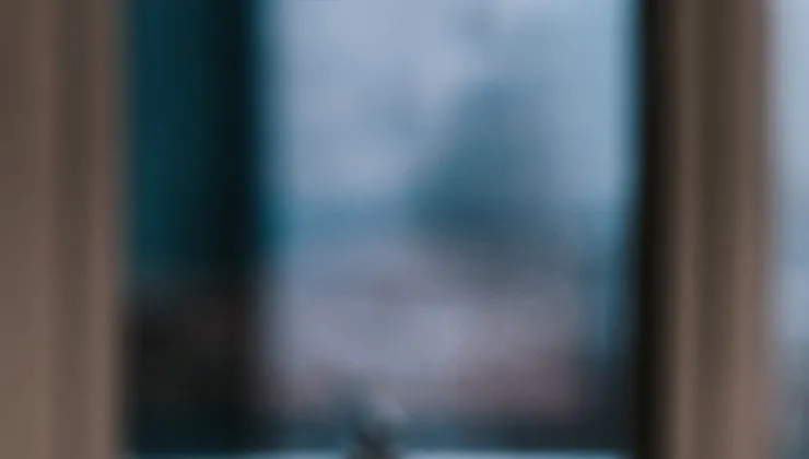 Rzecznik MŚP chce poszerzenia tarczy