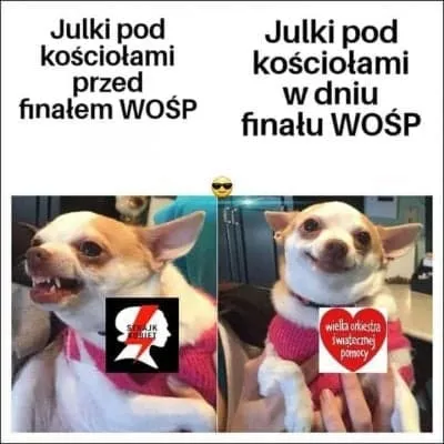 WOŚP