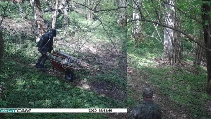Leśni szkodnicy wyrządzili duże straty