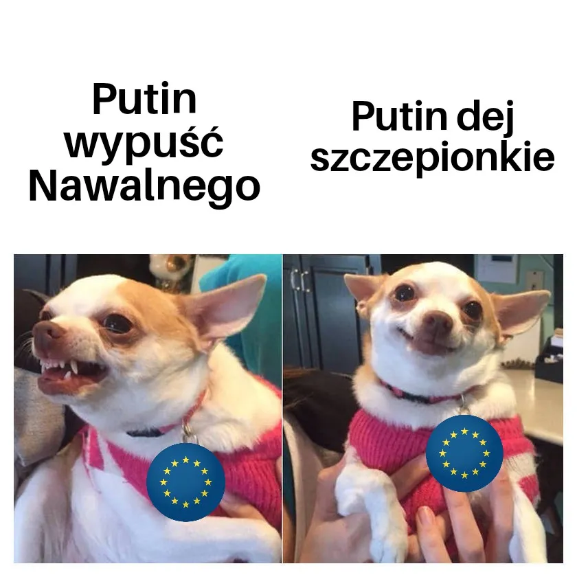 Polityka UE wobec Rosji