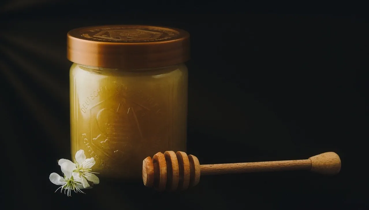 Zdjęcie główne