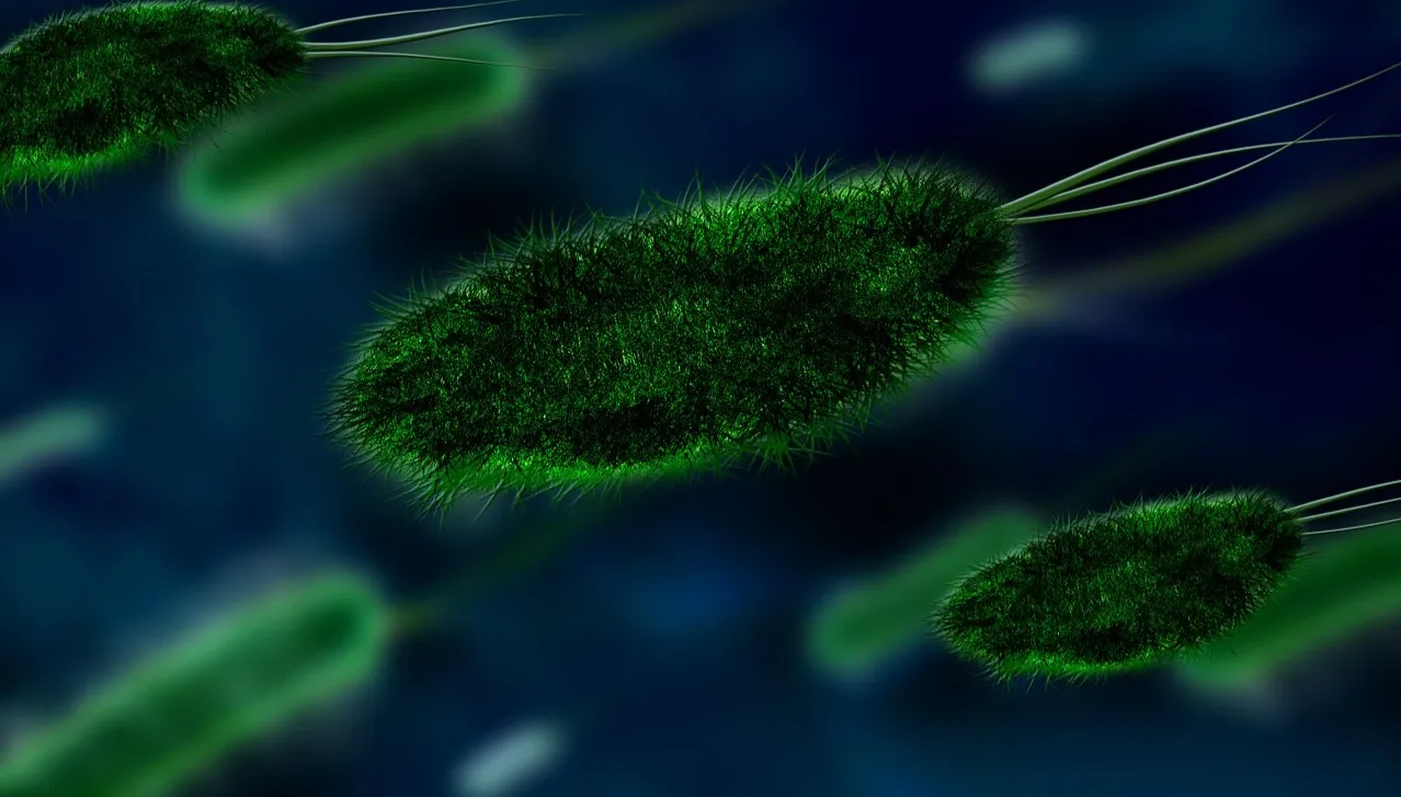 Sars-CoV-2. Wariant brytyjski śmiertelniejszy