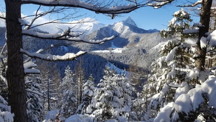 Zakopane odwiedzi nawet 20 tys. gości