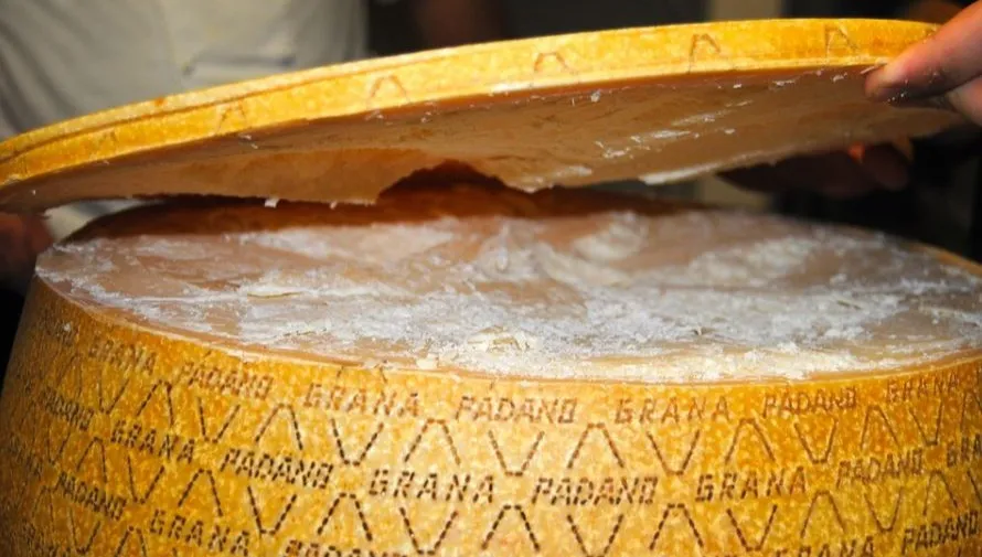 To dopiero podarunek! Włosi wysłali do Bidena... 40-kilogramową formę sera