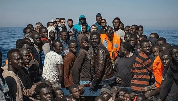 Zlikwidowano grupę przemycającą migrantów