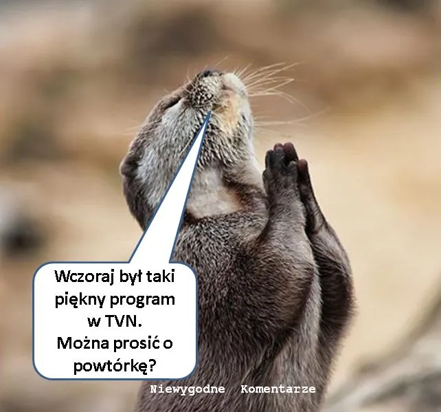 Powtórkę proszą