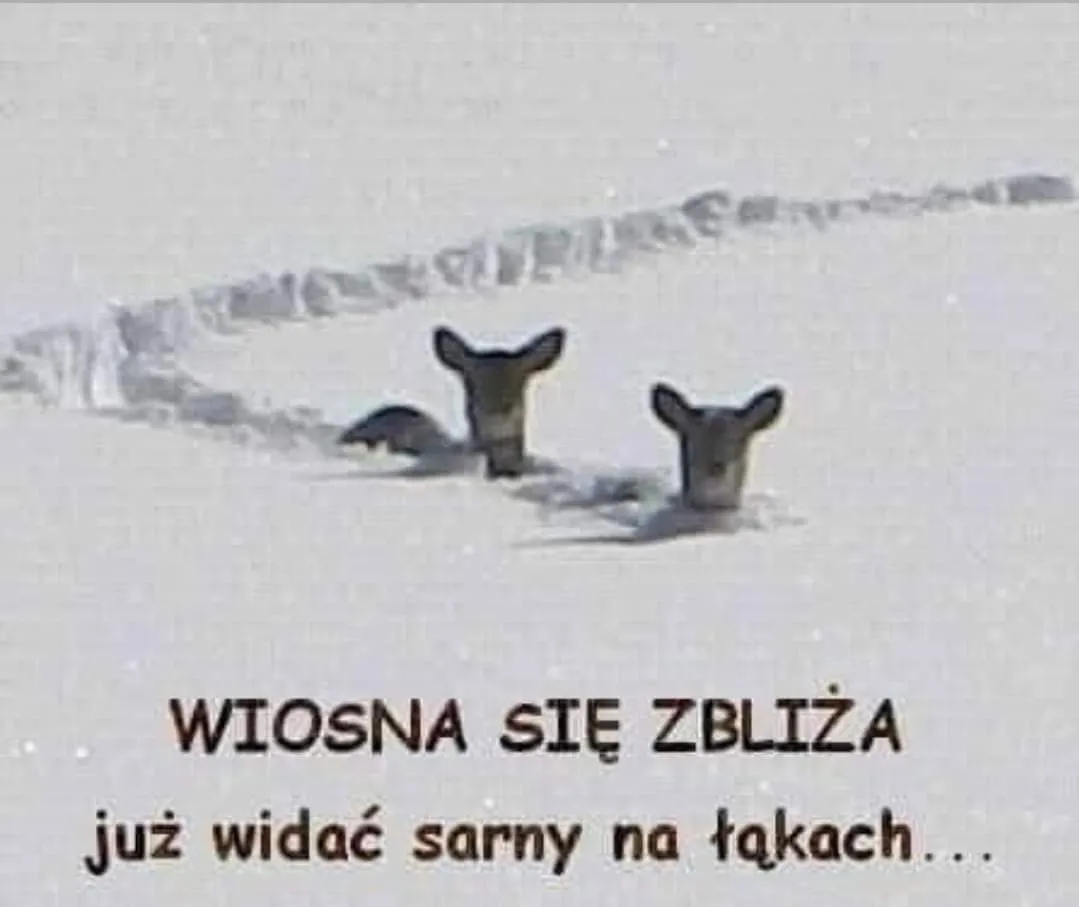 Nadchodzi wiosna...
