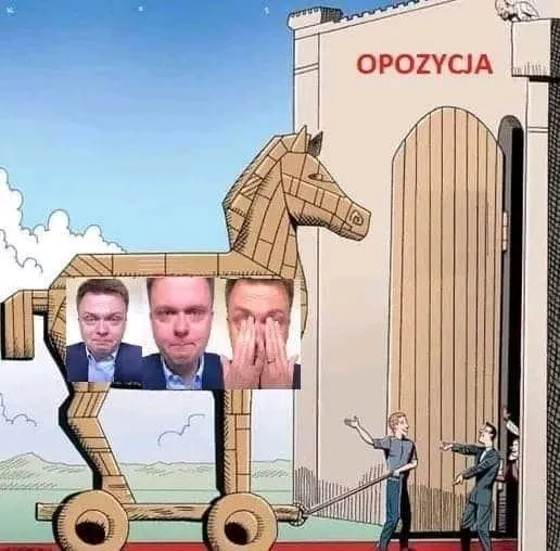 Koń