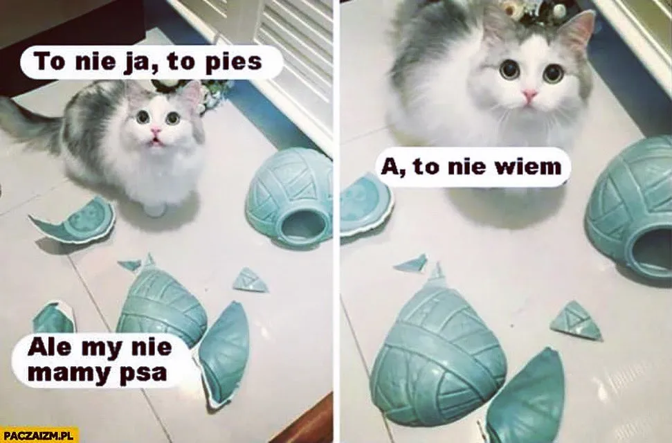 To pies!