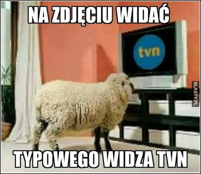 Typowy widz