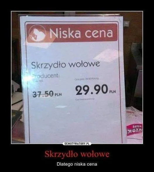 Od latającej krowy