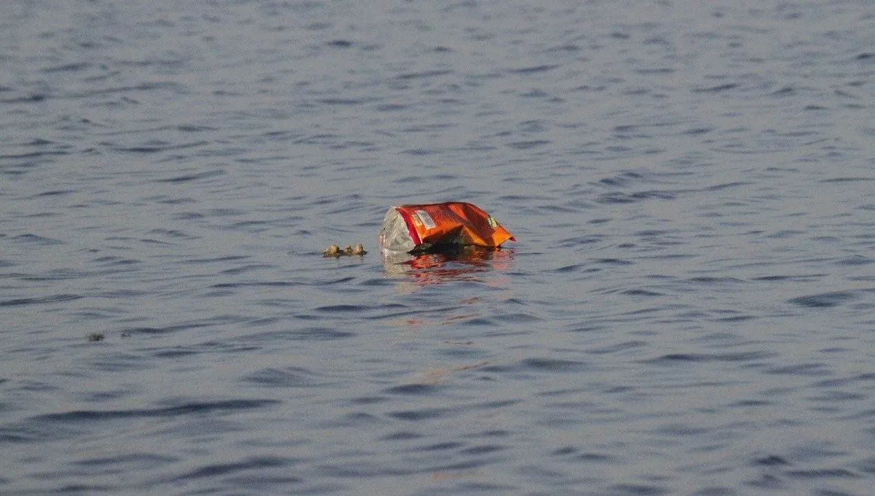 Nie utonął w oceanie, bo trzymał się „oceanicznego śmiecia”. W wodzie spędził 14 godzin