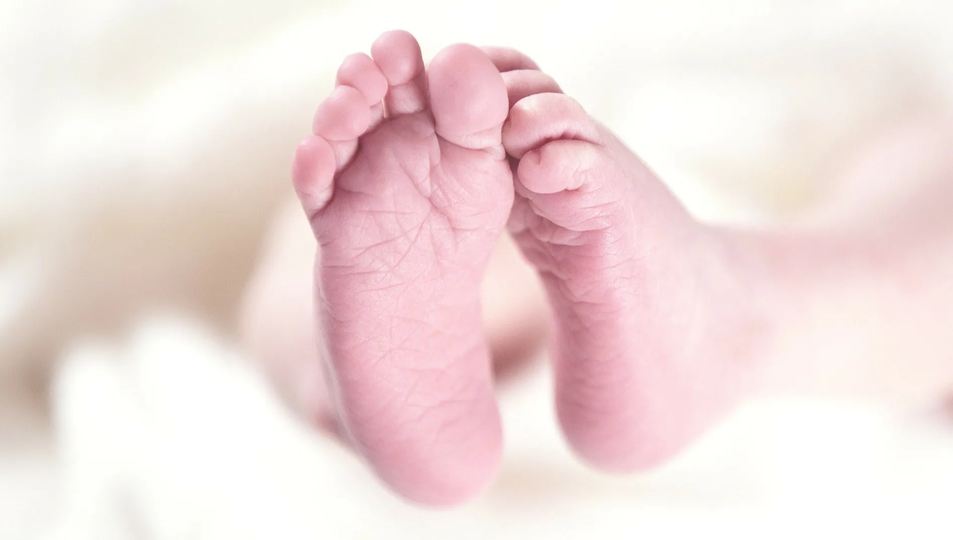 Niemiecki konstytucjonalista po stronie polskiego TK. „Orzeczenie w sprawie aborcji jest słuszne”