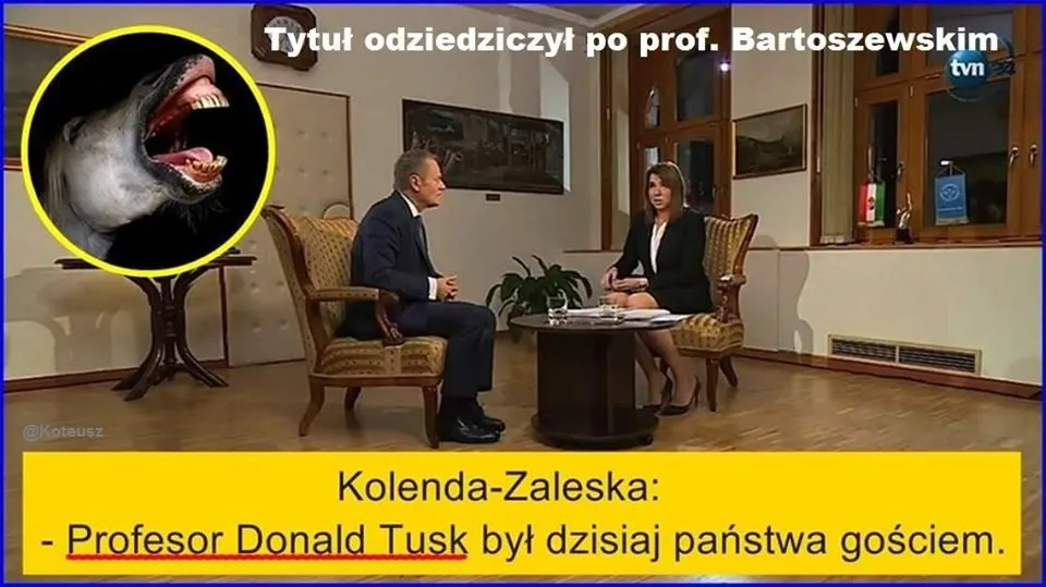Profesor