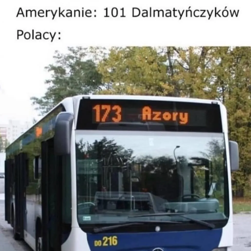 USA vs Polska