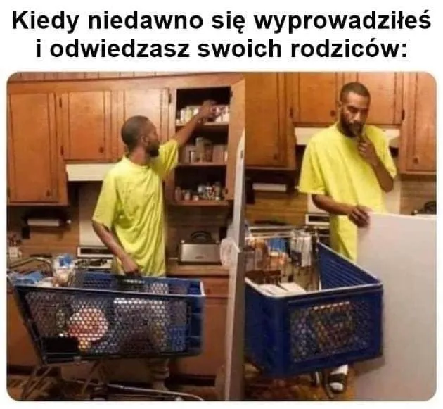 Odwiedziny