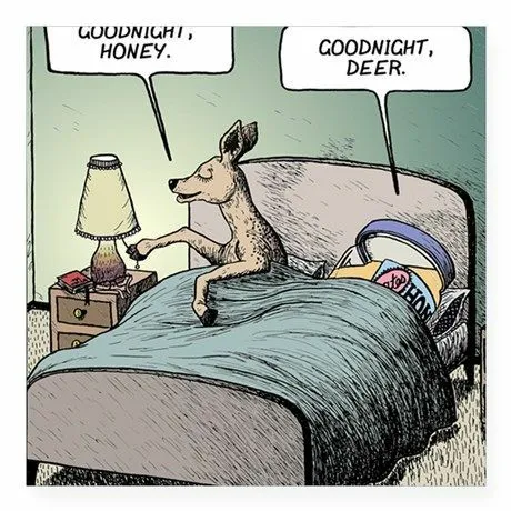 Goodnight
