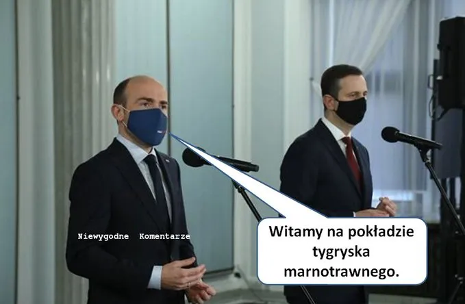 Witamy tygryska