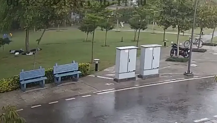 Schronili się pod drzewem, trafił w nich piorun. Jeden z mężczyzn nie przeżył. WIDEO