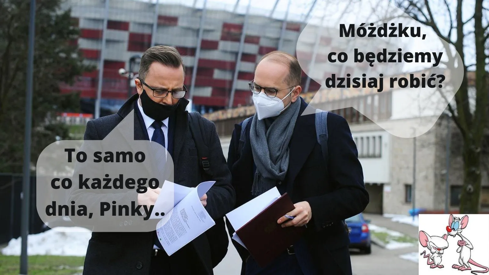 Co dziś robimy?