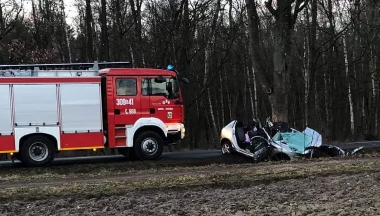 Auto wjechało w drzewo. Nie żyje 19-latek