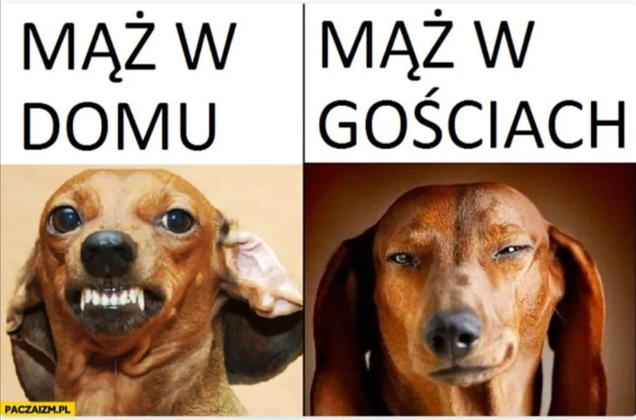 Mąż