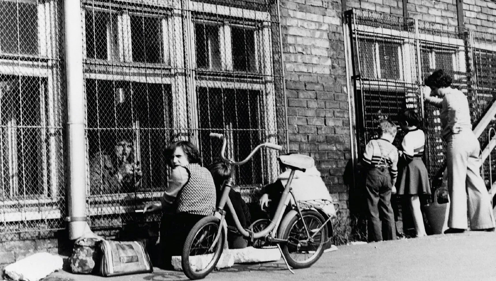 Historia Solidarności zapisana w obrazach