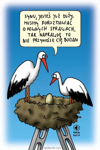 Tak naprawdę to...
