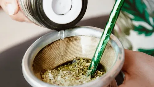 Yerba mate – naturalny zamiennik kawy