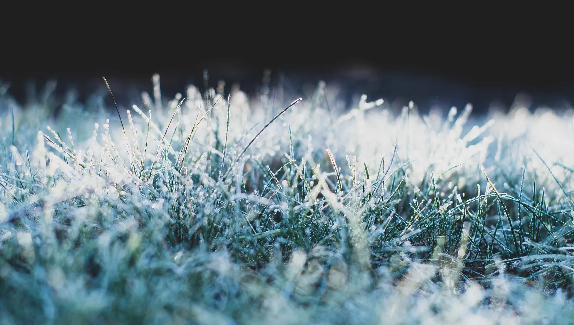 Przymrozki prawie w całym kraju