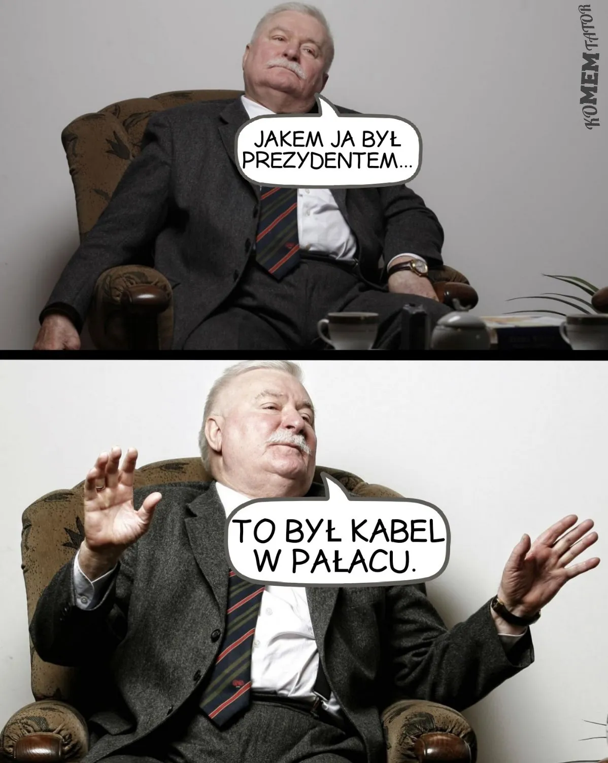 Kabel w pałacu