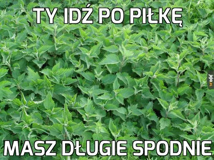 Dzieciństwo