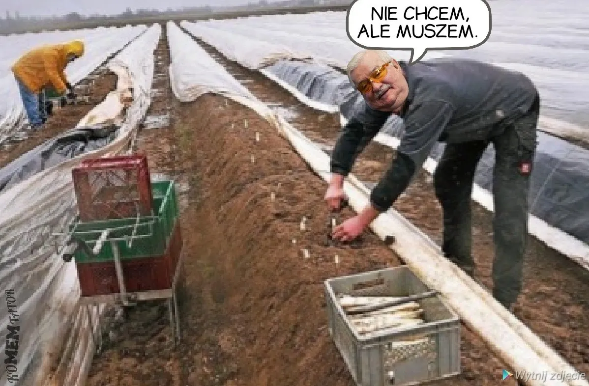 Nie chcem ale...