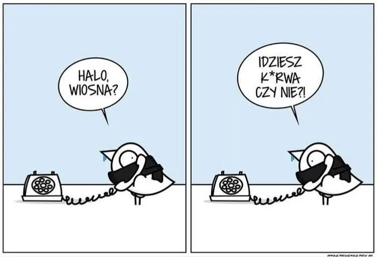 Halo, wiosna?