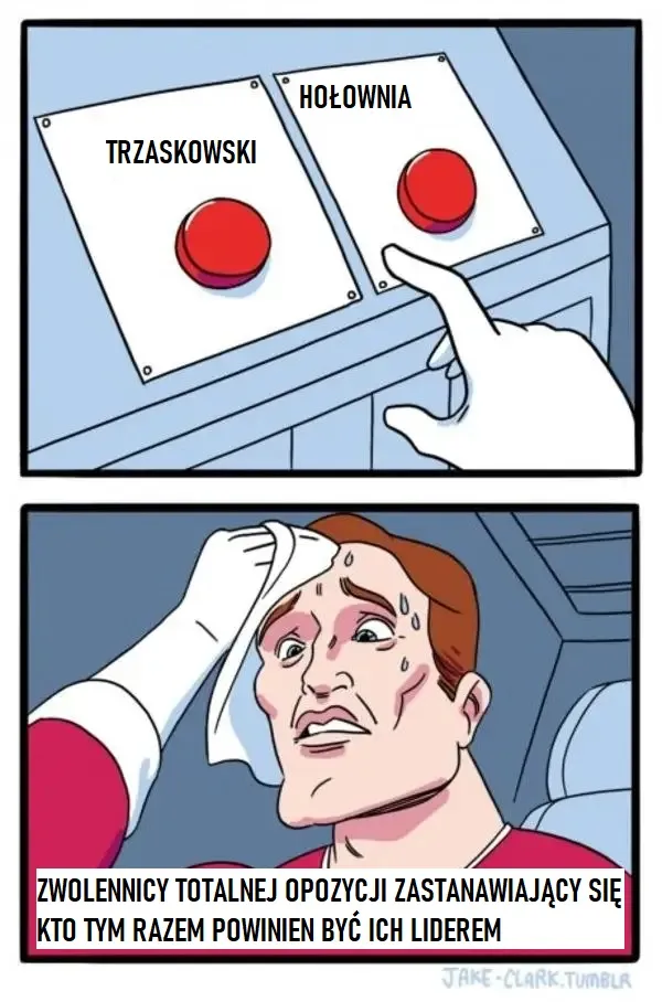 Wybory kolejnego lidera opozycji