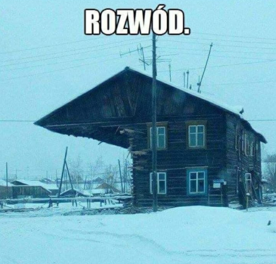 Wszystko na pół