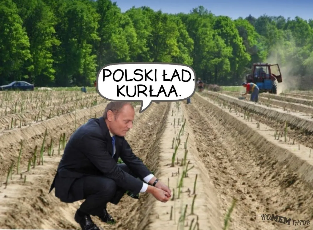 Niemieckie szparagi