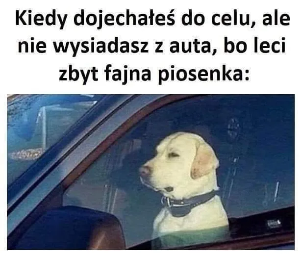 Robisz tak?
