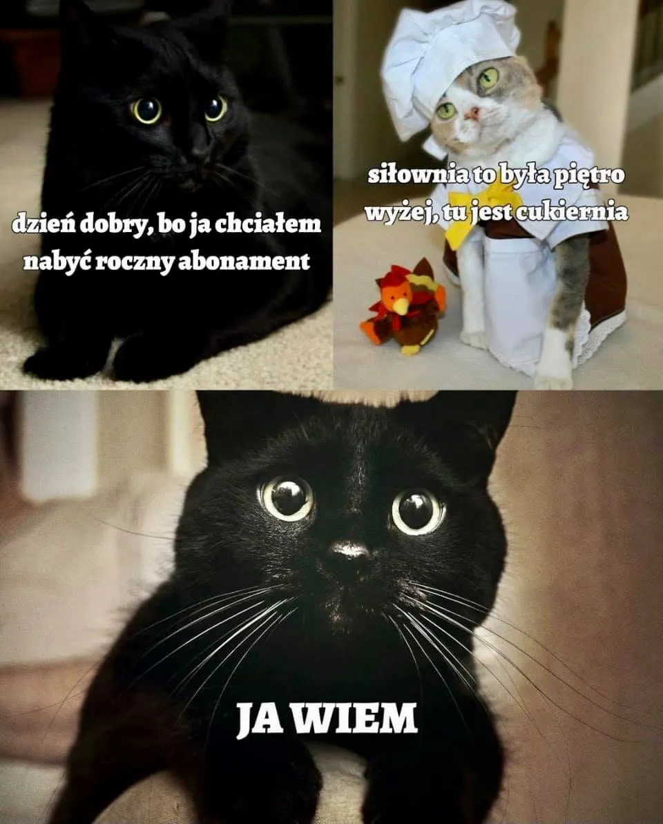 Abonament
