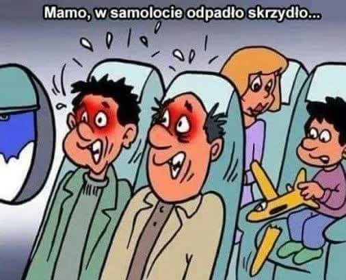 Skrzydło odpadło...