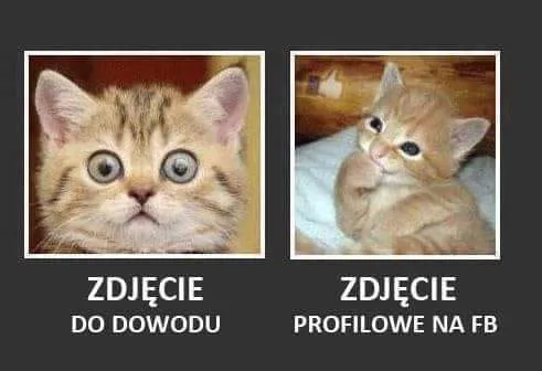 Do dowodu vs profilowe
