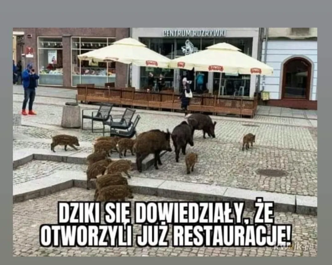 Knajpy otwarte